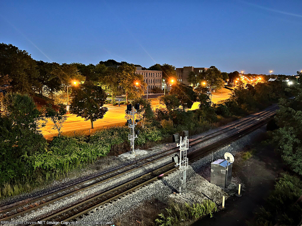 Exchange St signals at night.